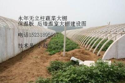 【无立柱蔬菜大棚骨架价格_无立柱蔬菜大棚骨架厂家】- 